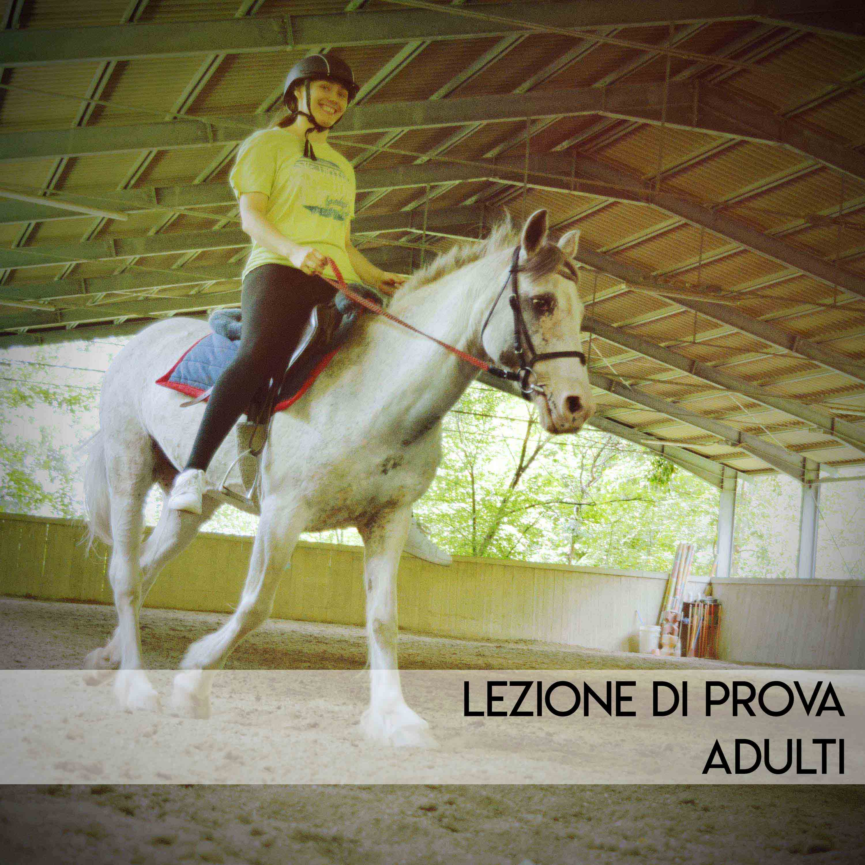 2022_02_lezione-prova-equitazione-adulti_scritta