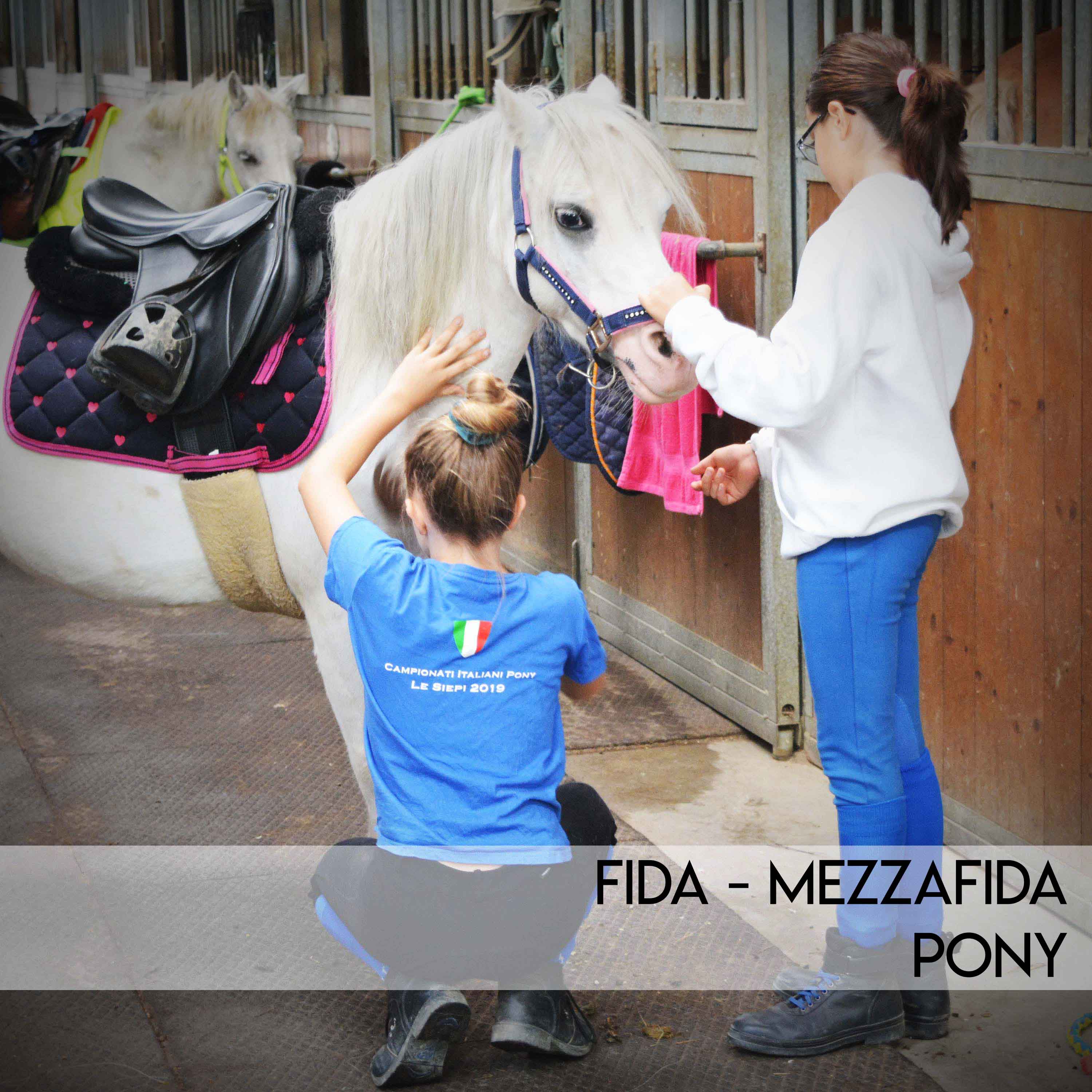 2022_06_fida-pony_scritta.jpg